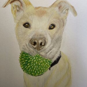 Henry With Ball