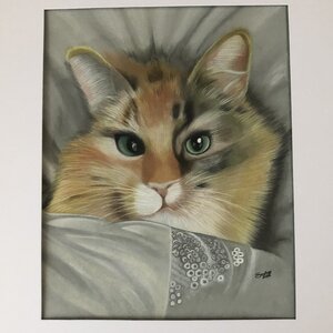 Kitty Kitty