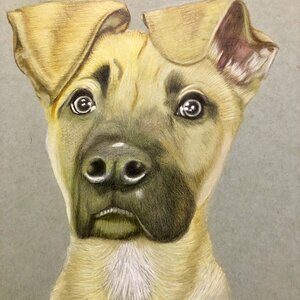Walter