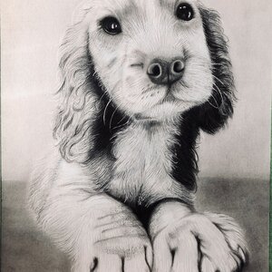 Baxter