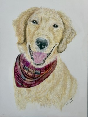 Beau2