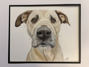 Gus