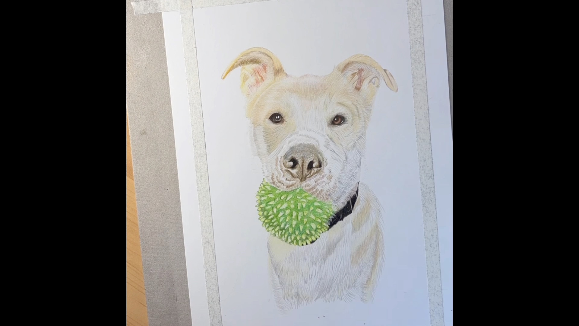 Henry with ball
