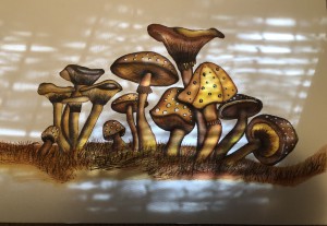 Magical Mushrooms